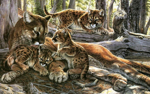 486943 (a): :1680x1050